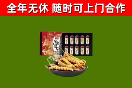 肇州回收冬虫夏草价格