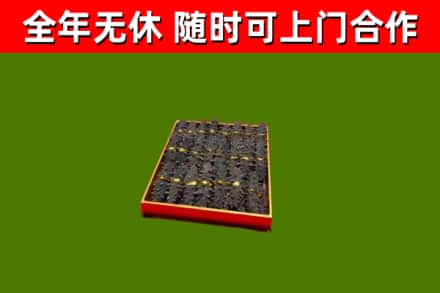 肇州回收海参